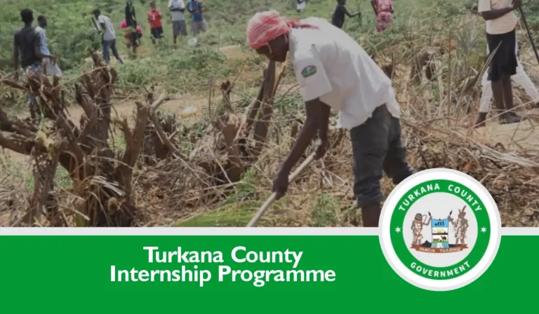 Turkana County Internship (August 2024) Application Form is Out