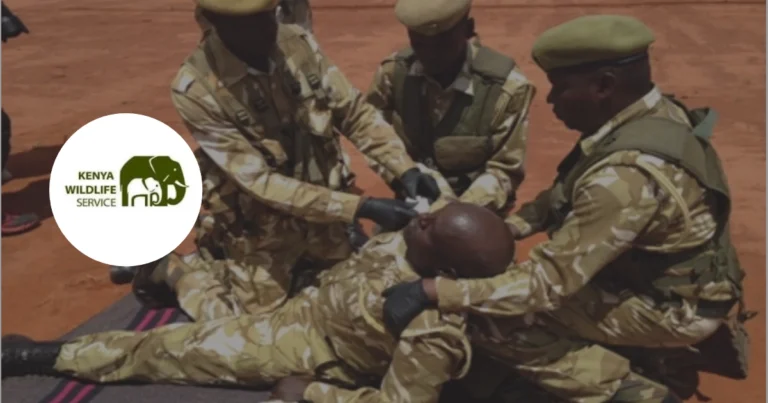 KWS Recruitment for Civilian Vacancies 2025/2026