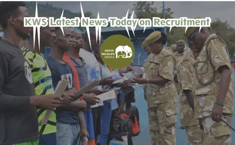 KWS Latest News Today on Recruitment 2025/2026