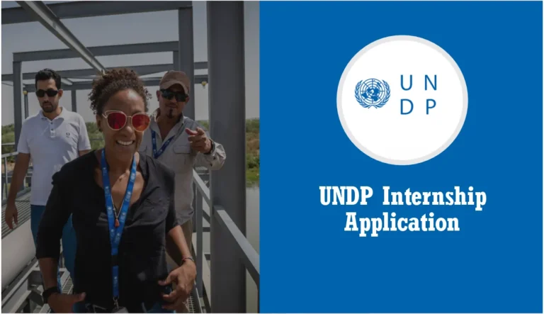 UNDP Internship (November 2024) Requirements, Online Application