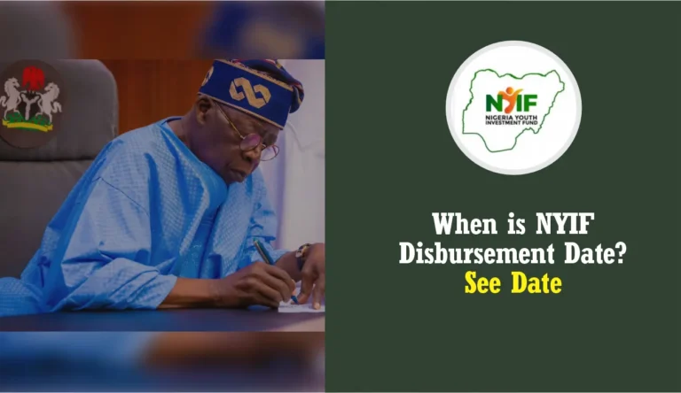 When is NYIF Disbursement Date for 2024 N110 Billion Loan and Grant?