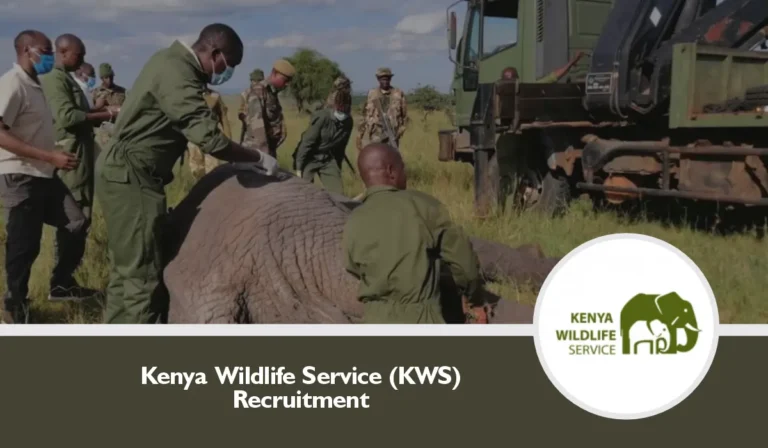 KWS Recruitment 2025/2026 Dates, Application Form Portal