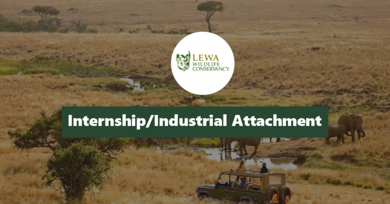 Lewa Wildlife Conservancy Internship & Attachment 2025/2026 Application Form