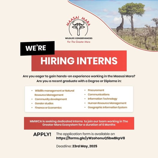 MMWCA Internship 2025 Program Application Form, Deadline MMWCA Internship 2025 Program Application Form, Deadline
