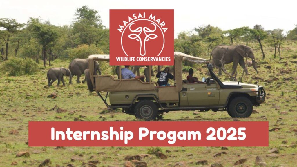 MMWCA Internship 2025 Program Application Form, Deadline